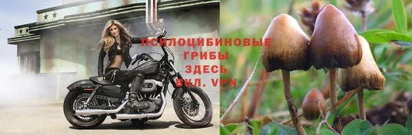 стафф Алексин