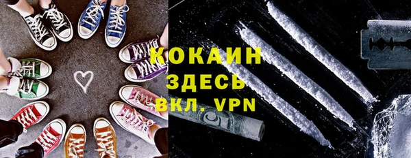 стафф Алексин