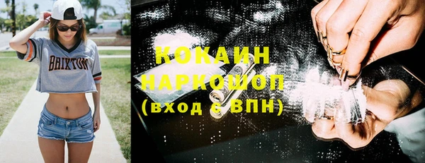 дмт Алзамай