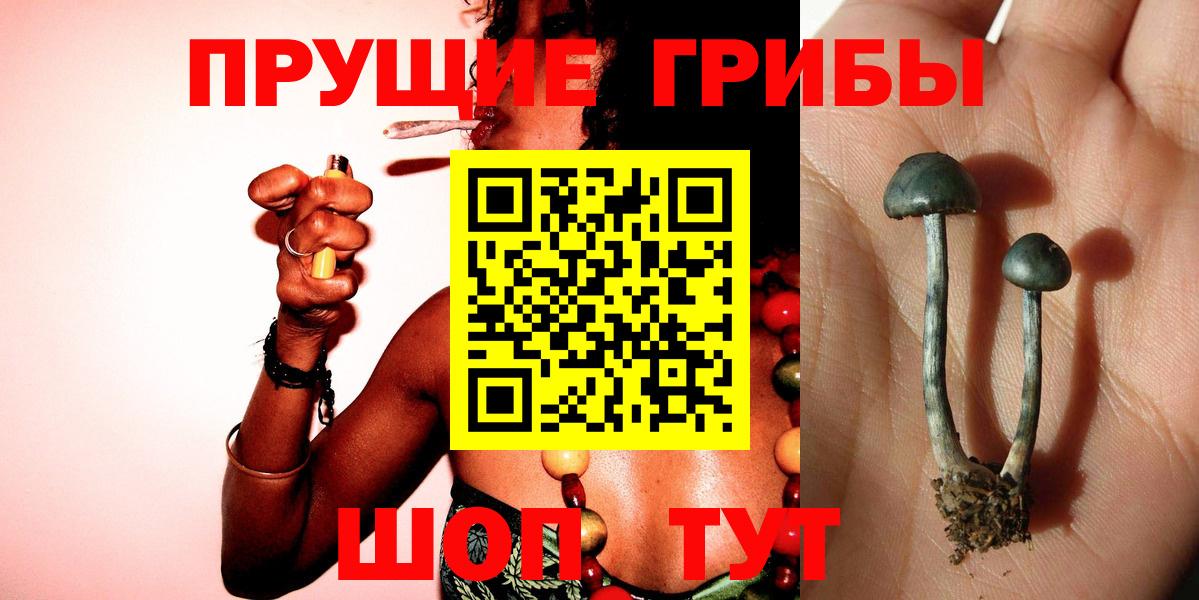 Галлюциногенные грибы ЛСД  Вход с VPN  Котельники 